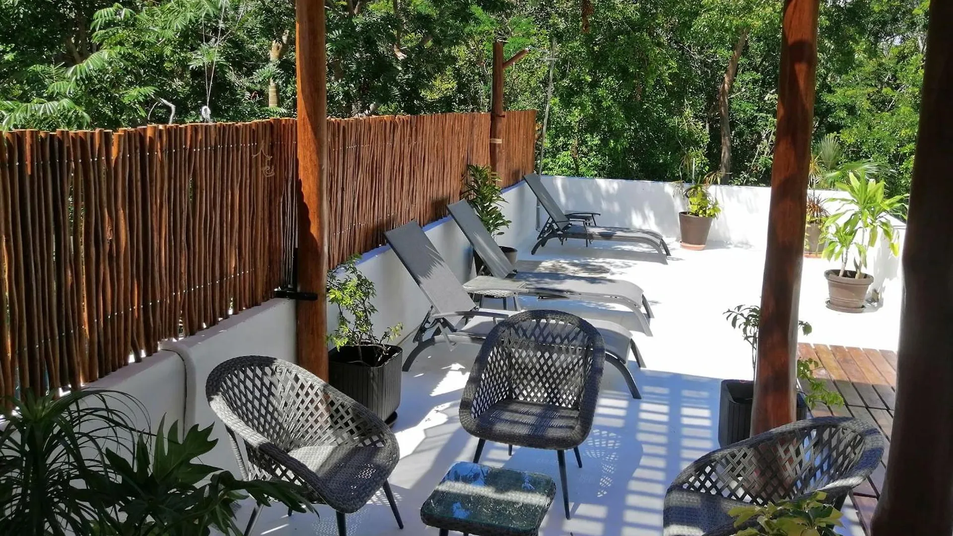 Villa Tucanes 5 Bdr 10 Ppl Tulum